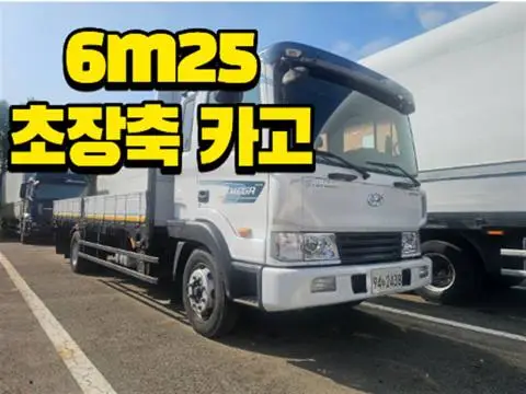 현대 메가트럭 5톤 카고 2010년식 메가트럭 전측면